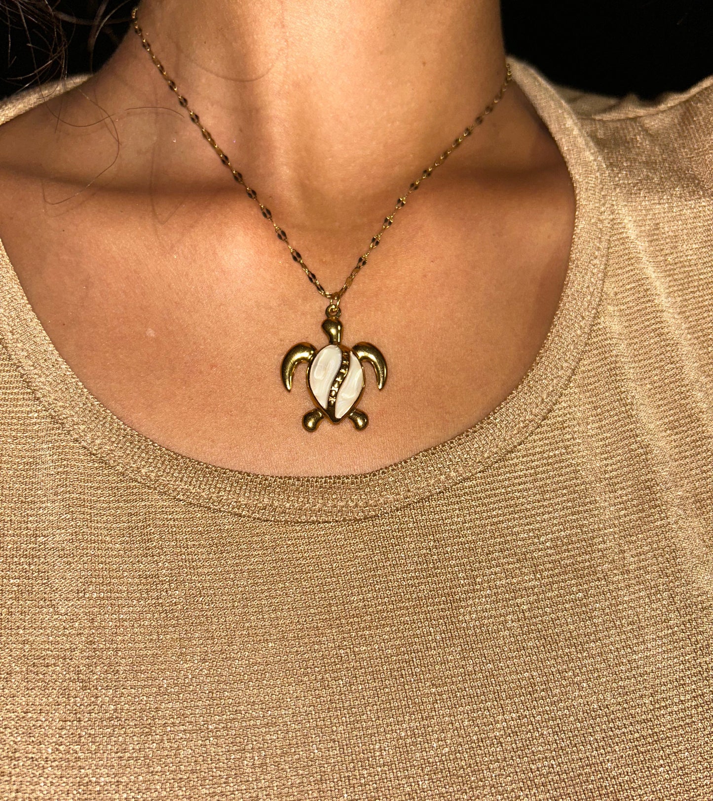 Collier Pearly Turtle